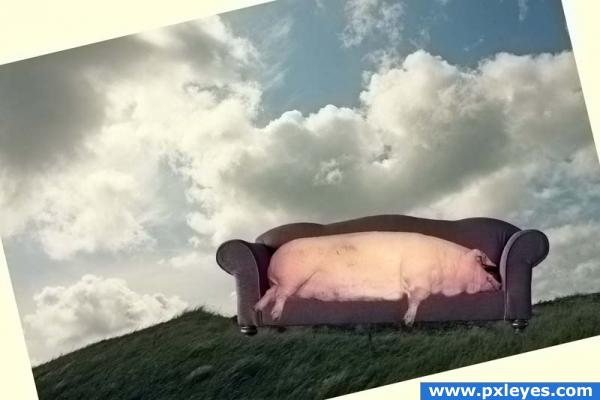Pig on sofa